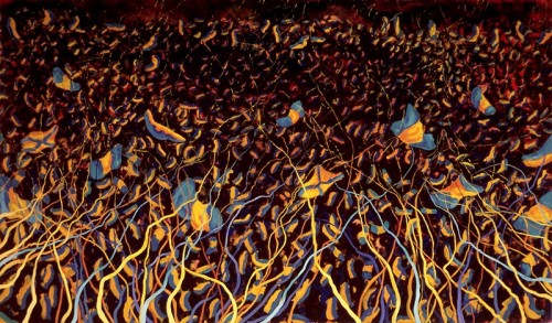 0829002.jpg