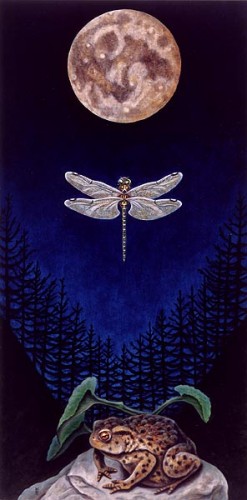 2745002.jpg