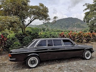 COSTA RICA COFFEE PLANTATION. MERCEDES W123 LANG TOURS